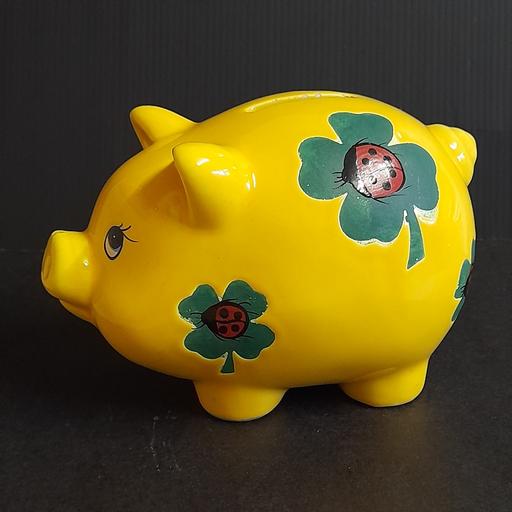 Buy & Sell Preston South Ribble - Photos for PIGGY BANK 🐷