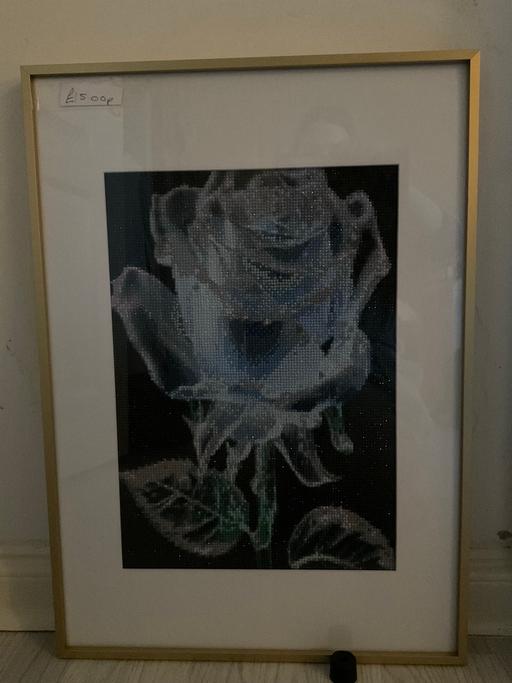 Buy & Sell Shiney Row Sunderland - Photos for Diamond Art Rose