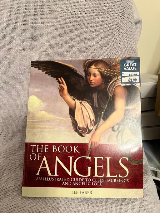 Buy & Sell Easington Lane Sunderland - Photos for Book Of Angels ( New )