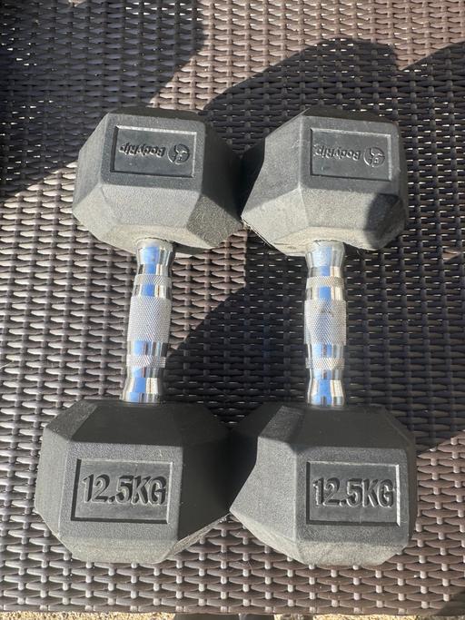 Buy & Sell Willesden North West London - Photos for 12.5kg weights bodyrip (pair)