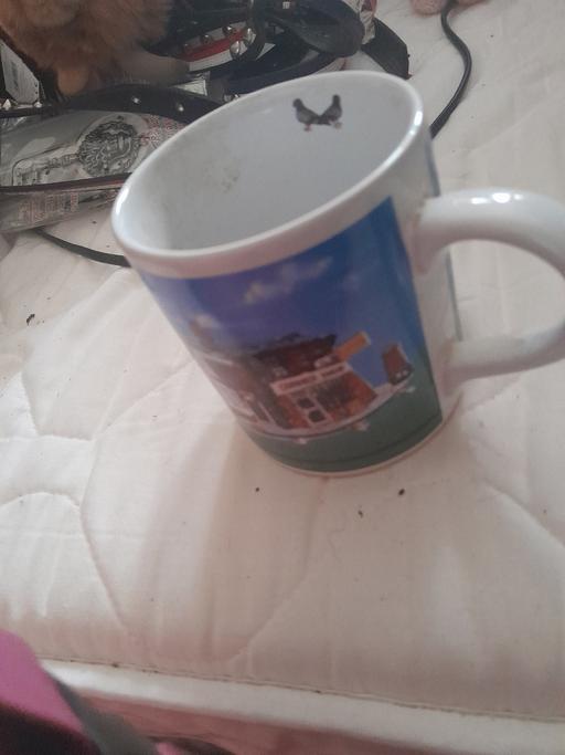 Buy & Sell Hurst Business Park Dudley - Photos for coronation street cup