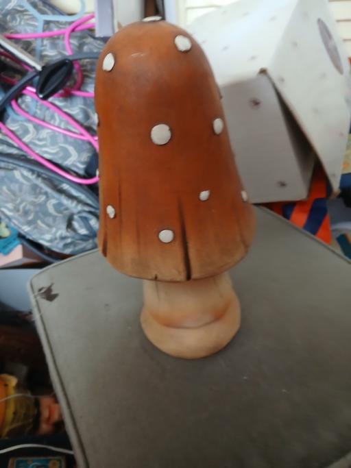 Buy & Sell Netherton Dudley - Photos for mushroom about 10 ins high