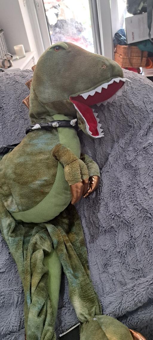 Buy & Sell Sutton Coldfield Birmingham - Photos for Dinosaur costume outfit Age 3-7