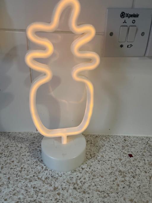 Buy & Sell Conisbrough Doncaster - Photos for Pineapple battery powered light