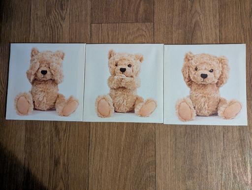 Buy & Sell Stowmarket Mid Suffolk - Photos for Canvas