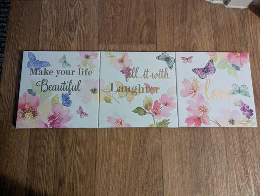 Buy & Sell Stowmarket Mid Suffolk - Photos for Butterfly Canvas