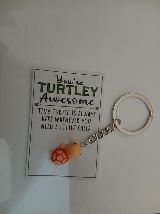 Buy & Sell Bradley Fold Trading Estate Bury - Photos for Turtle Keyring/Card New