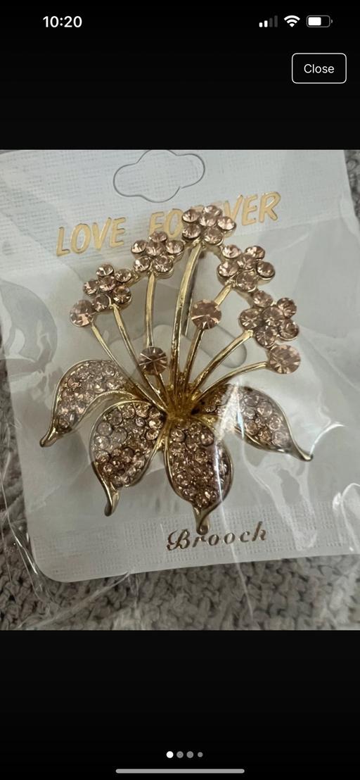 Buy & Sell Hetton-Le-Hole Sunderland - Photos for Pretty Brooch ( New )