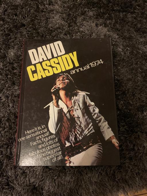 Buy & Sell Birchills Walsall - Photos for Vintage David Cassidy annual 70s