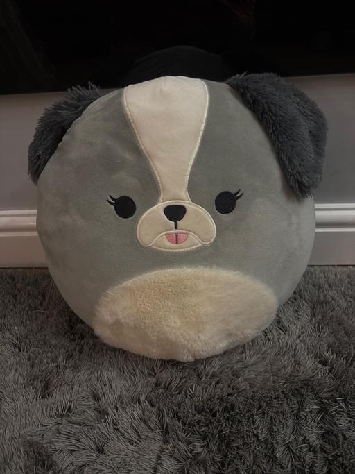 Buy & Sell Bentley Walsall - Photos for Dog squish-mallow