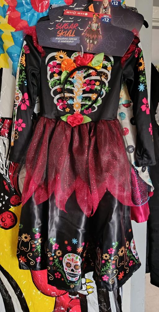 Buy & Sell Oldbury Sandwell - Photos for Halloween costume 8-10 bnwt