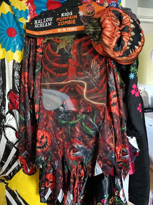 Buy & Sell Rowley Village Sandwell - Photos for Halloween costume 13-14 bnwt