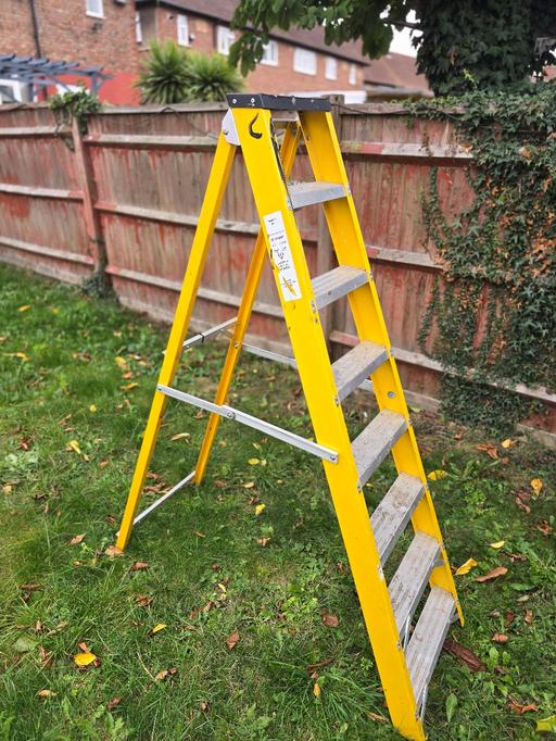 Buy & Sell Middle Park South East London - Photos for fibreglass swingback ladder