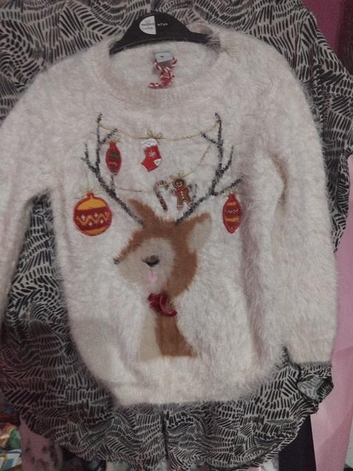 Buy & Sell Hampton-in-Arden Solihull - Photos for Girls xmas jumper
