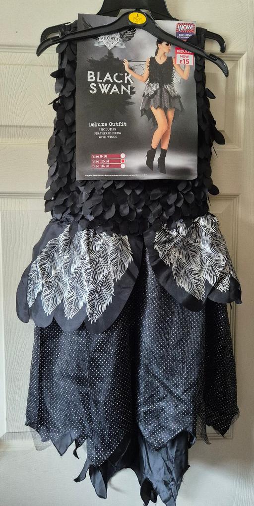 Buy & Sell Crumpsall Manchester - Photos for new Womens Halloween Costume