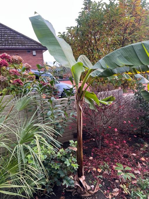 Buy & Sell Telford Telford and Wrekin - Photos for Musa Basjoo