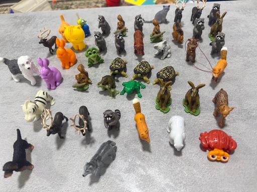 Buy & Sell Enfield Town Centre Enfield - Photos for Animal