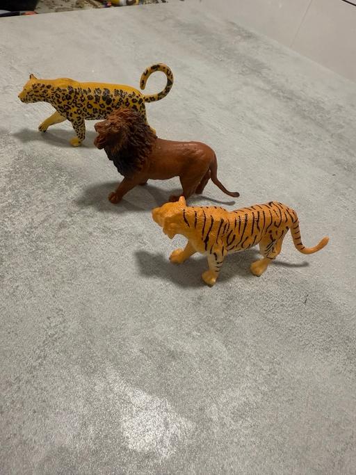 Buy & Sell Enfield Town Centre Enfield - Photos for Animals