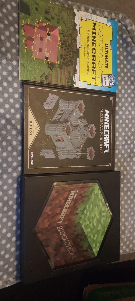 Buy & Sell Rowley Regis Sandwell - Photos for bundle of minecraft books