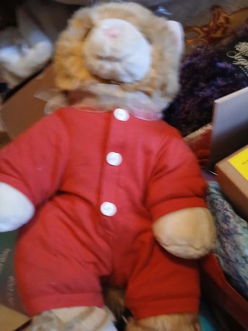 Buy & Sell Netherton Dudley - Photos for builar cat teddy press it meows