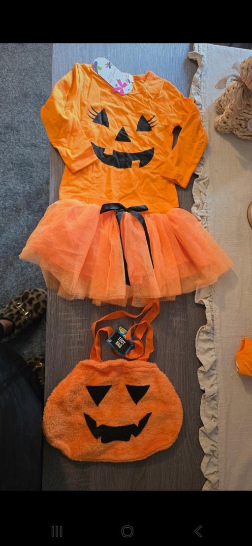 Buy & Sell Tipton Sandwell - Photos for baby girl halloween costume and bag