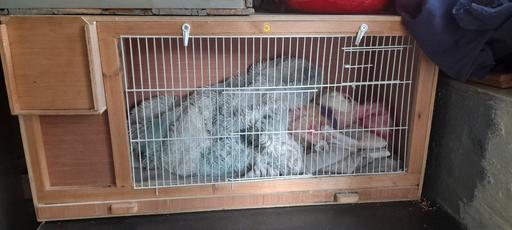 Buy & Sell Wombourne South Staffordshire - Photos for bird box