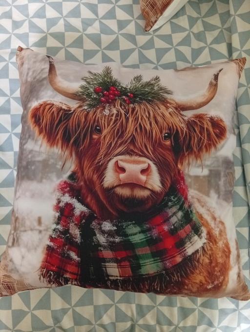 Buy & Sell Parkgate Rotherham - Photos for cushion