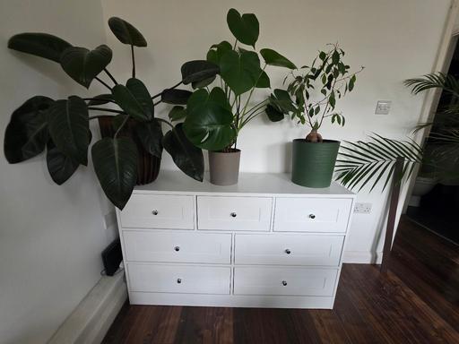 Buy & Sell West Brompton South West London - Photos for Chest of Drawers