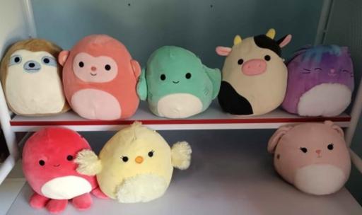 Buy & Sell Blackburn Blackburn with Darwen - Photos for squishmallow teddies