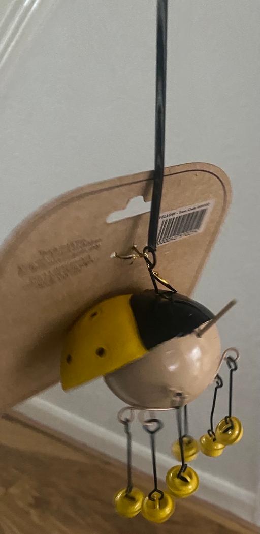 Buy & Sell Camp Hill Birmingham - Photos for Spring ladybug