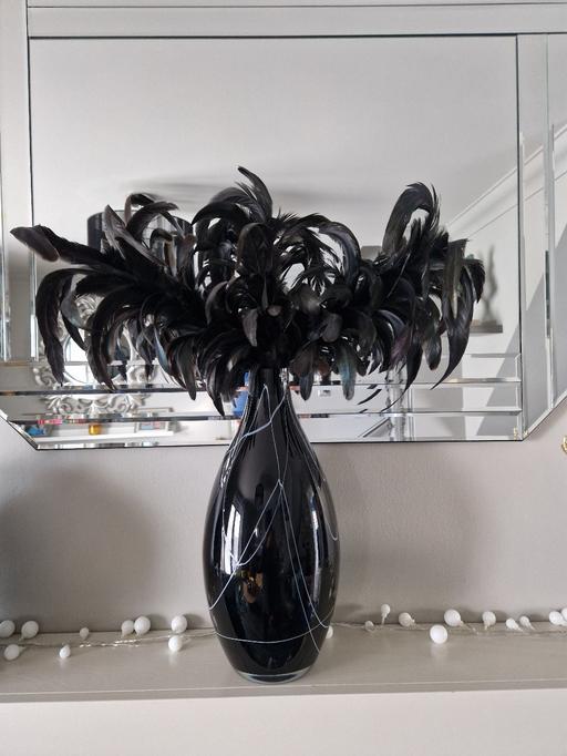 Buy & Sell Scholes Rotherham - Photos for Large black vase & black feathers
