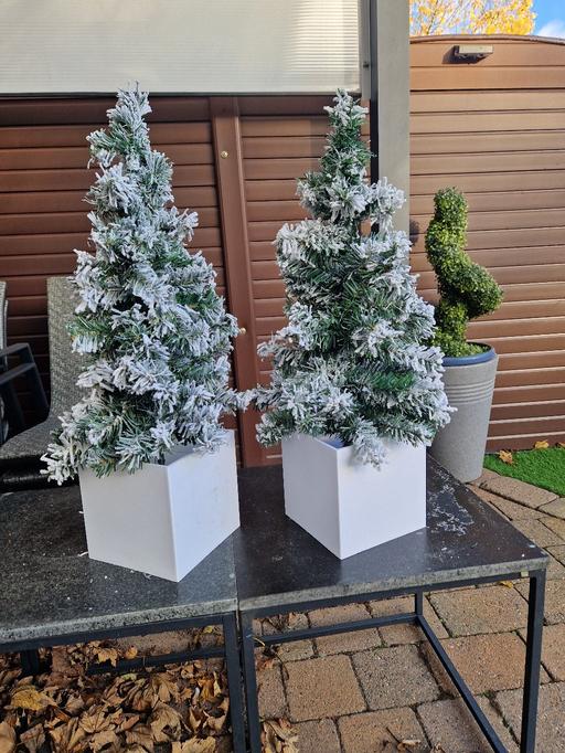 Buy & Sell Scholes Rotherham - Photos for 2 large faulse Xmas trees in white pots