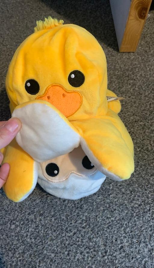 Buy & Sell Longley Sheffield - Photos for Teddy