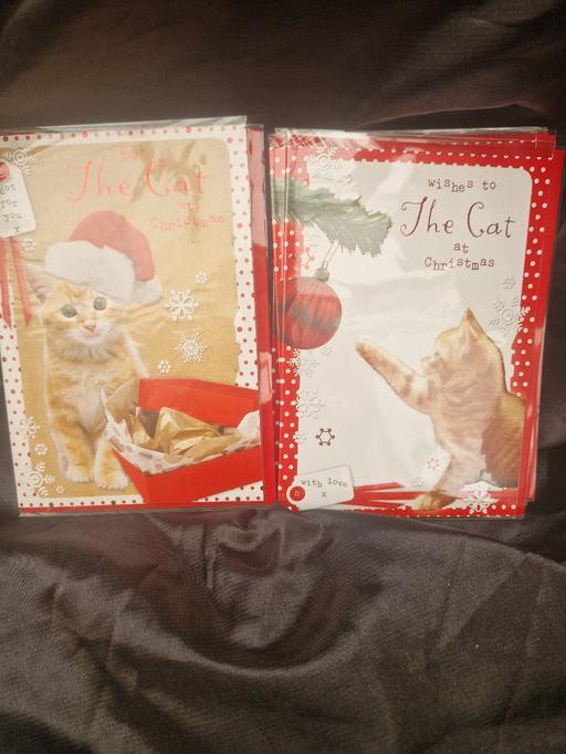 Buy & Sell Dosthill Tamworth - Photos for Cat christmas cards
