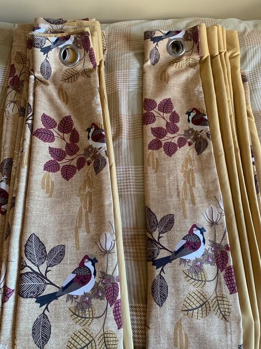 Buy & Sell Stoke Heath Bromsgrove - Photos for Floor length pair of curtains