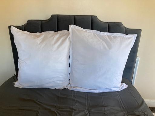Buy & Sell Sedgley Dudley - Photos for Extra large bed cushions