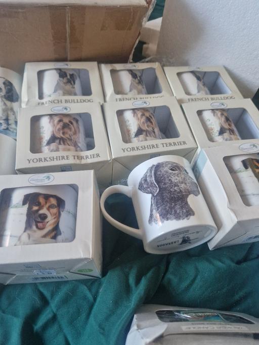 Buy & Sell Dosthill Tamworth - Photos for DOG MUGS NEW