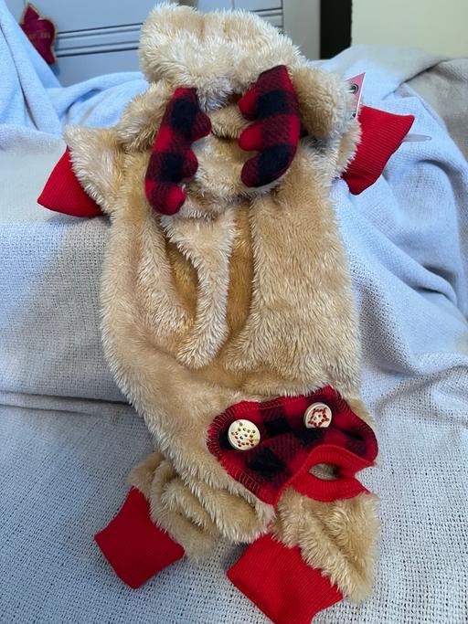 Buy & Sell Hetton-Le-Hole Sunderland - Photos for Dog Dress Up ( New )