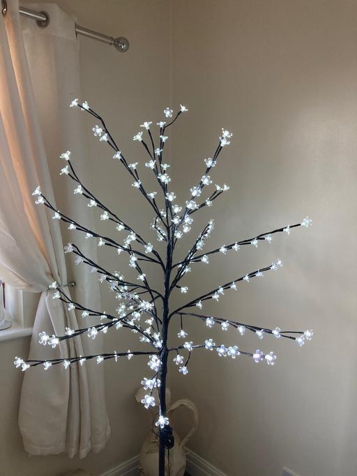 Buy & Sell Sedgley Dudley - Photos for Blossom tree