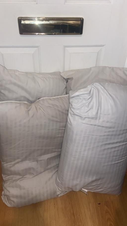 Buy & Sell Moseley Village Wolverhampton - Photos for 4 pillows £1