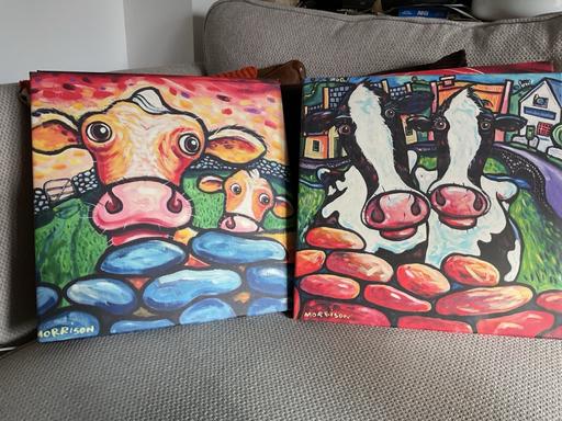 Buy & Sell Telford Telford and Wrekin - Photos for Pr of fun Cow Prints
