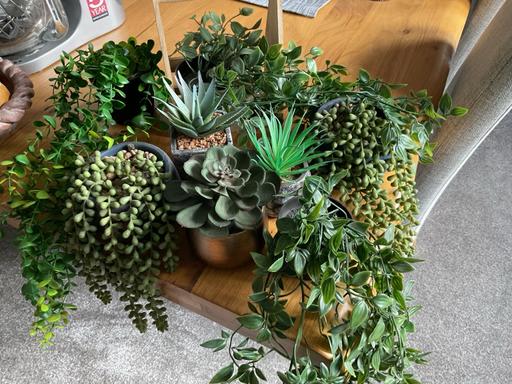 Buy & Sell Telford Telford and Wrekin - Photos for Group of artificial plants and a small tote.