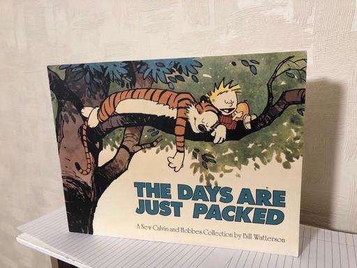 Buy & Sell Bamber Bridge South Ribble - Photos for The Days are Just Packed - Comic Book