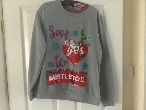 Buy & Sell Essington Wolverhampton - Photos for Christmas jumper / sweatshirt size 10