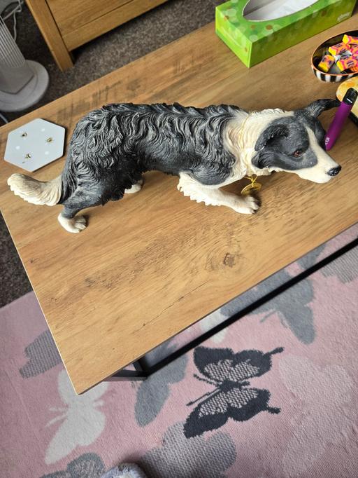 Buy & Sell Charter Avenue Industrial Estate Coventry - Photos for Leonardo Collection Border Collie Figurine