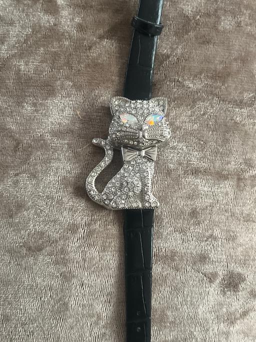 Buy & Sell Ovingdean Brighton - Photos for Beautiful Vintage Cat Watch