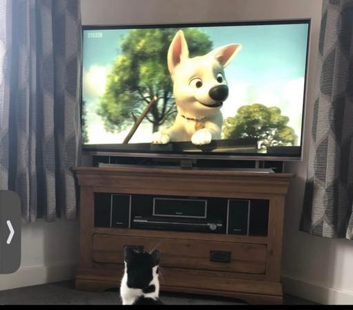 Buy & Sell Langley Eastbourne - Photos for Oak TV Stand