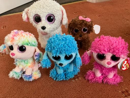 Buy & Sell Mansfield Town Centre Mansfield - Photos for 5x beanie boo dog bundle ( all with tags)