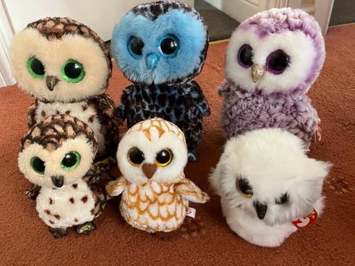 Buy & Sell Forest Town Mansfield - Photos for 8x Beanie Boo penguins