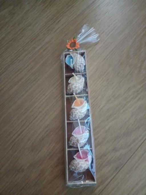 Buy & Sell Bradley Fold Trading Estate Bury - Photos for Shell Candles New